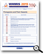 Picture: Symbols/Pictograms And Their Hazards